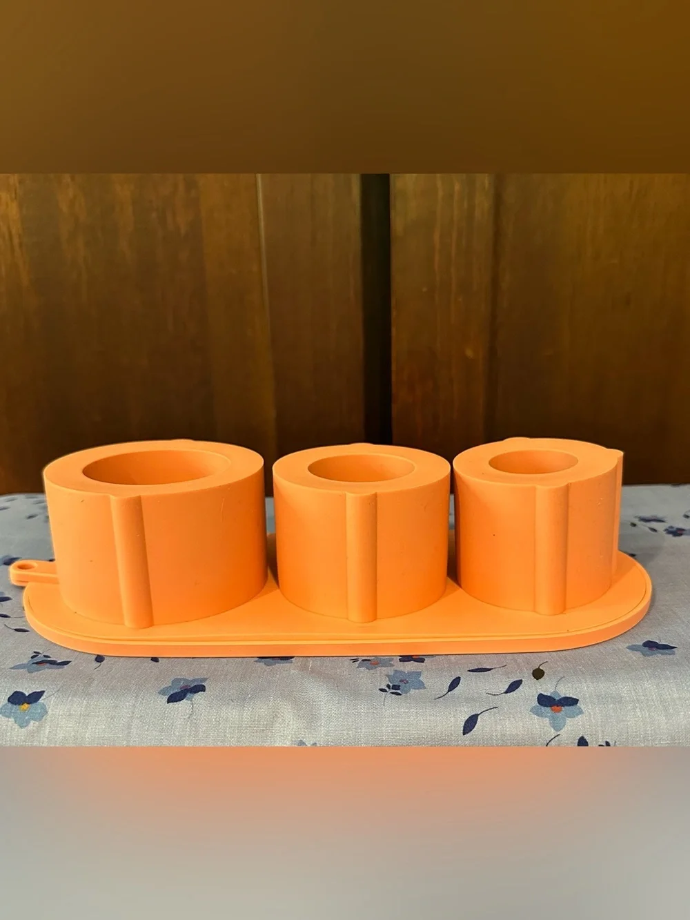 Silicone • large ice mold • lidded • new